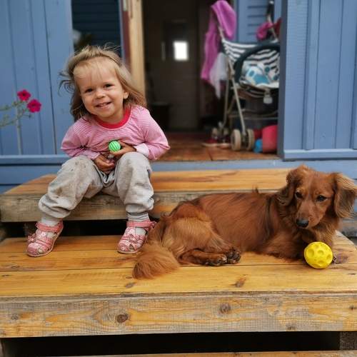 Photo #6456706