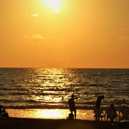 Photo #6456723