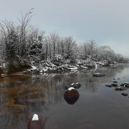 Photo #6456999