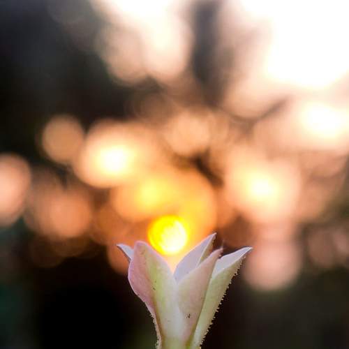 Photo #6457179