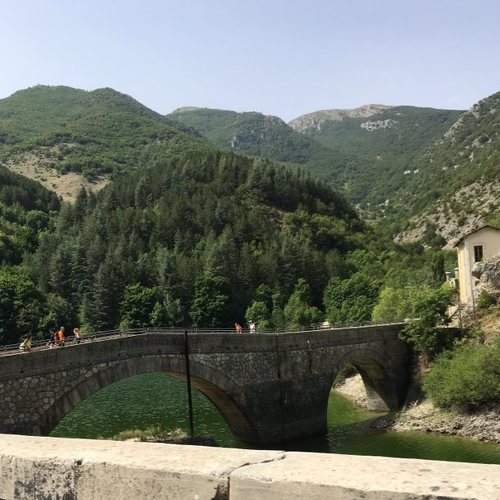 Photo #6457259