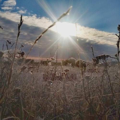 Photo #6457297