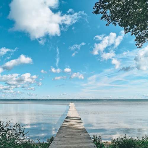 Photo #6457909