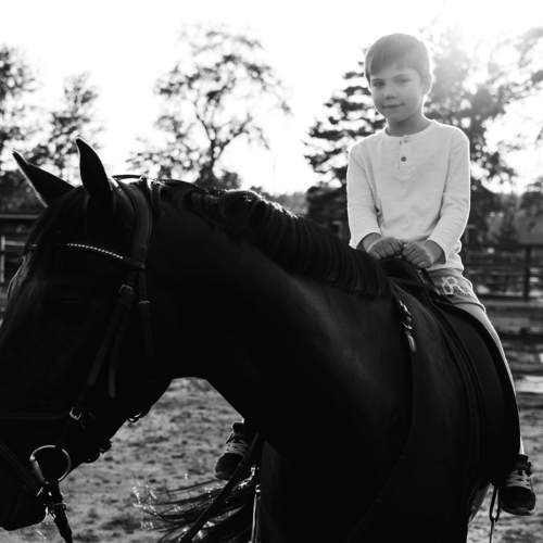 Photo #6458342