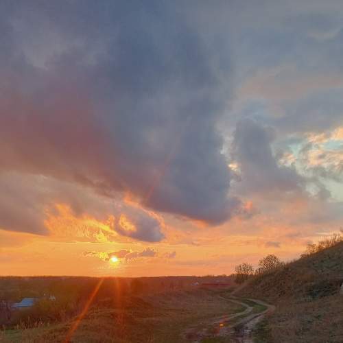 Photo #6458402