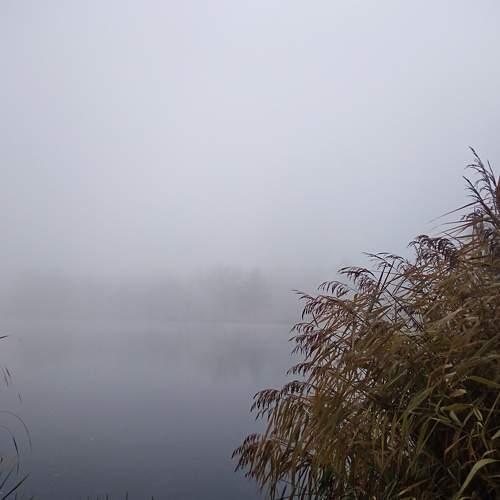 Photo #6458443