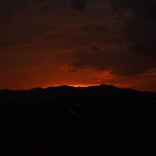 Photo #6458512