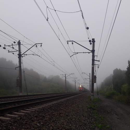 Photo #6458750
