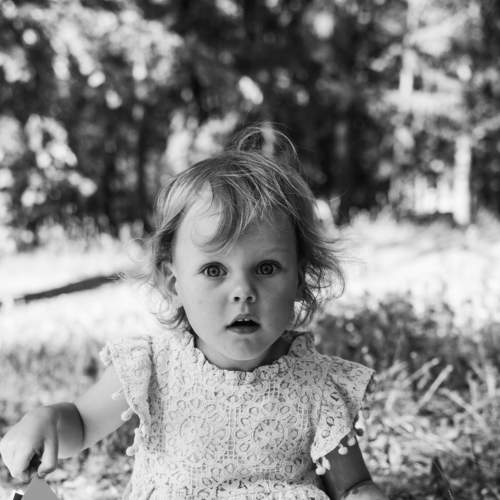 Photo #6458801