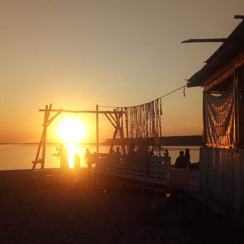 Photo #6458864