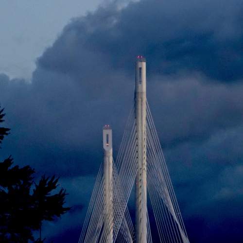 Photo #6458965