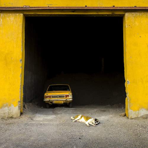 yellow