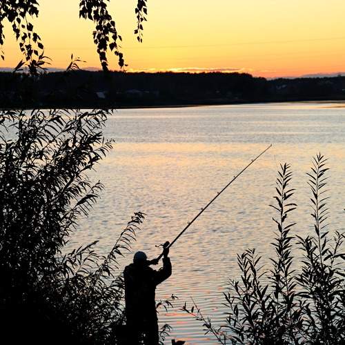Photo #6459499