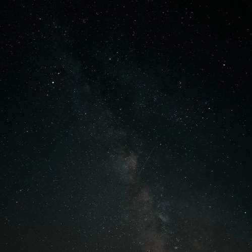 Photo #6459687