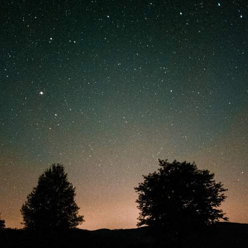 Photo #6459688