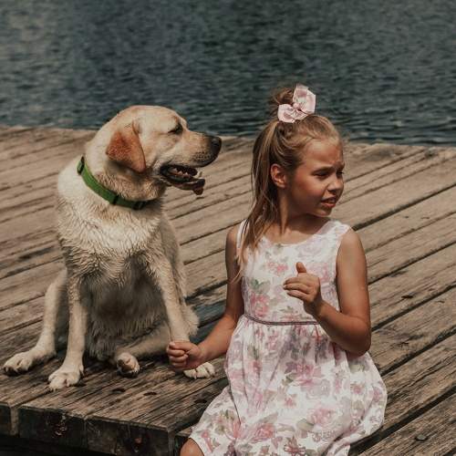 Photo #6459756