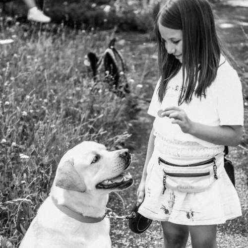 Photo #6459757