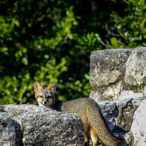 Photo #6459938