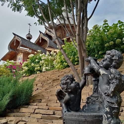 Photo #6460022