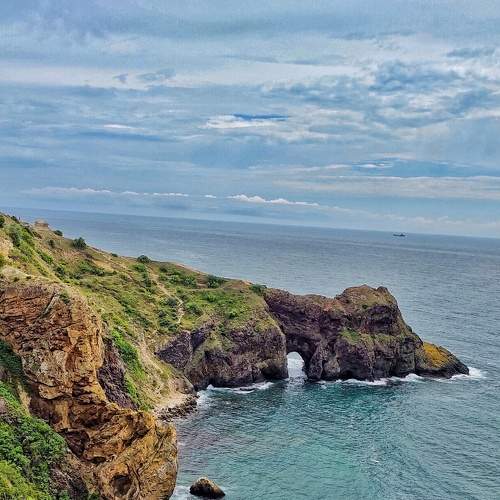 Photo #6460222