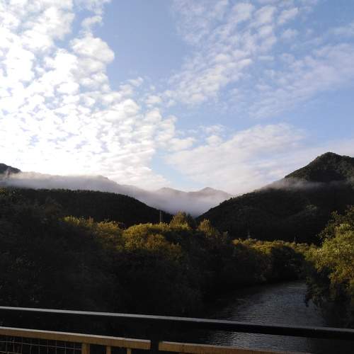 Photo #6460291