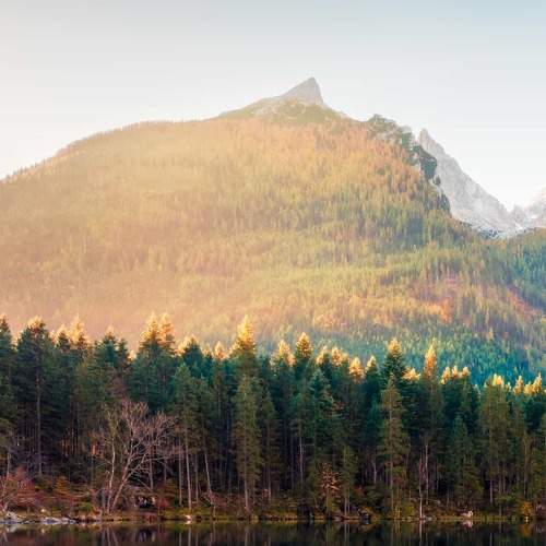 Photo #6460301