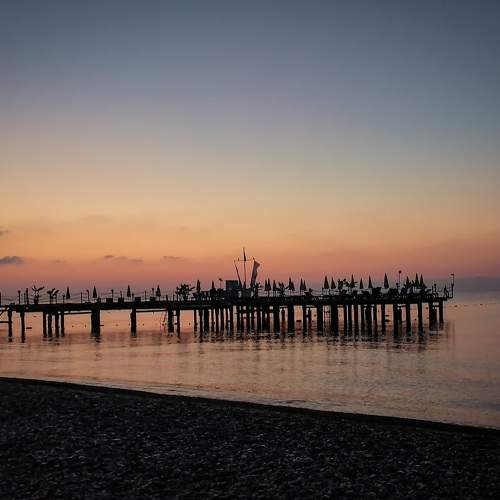 Photo #6460665