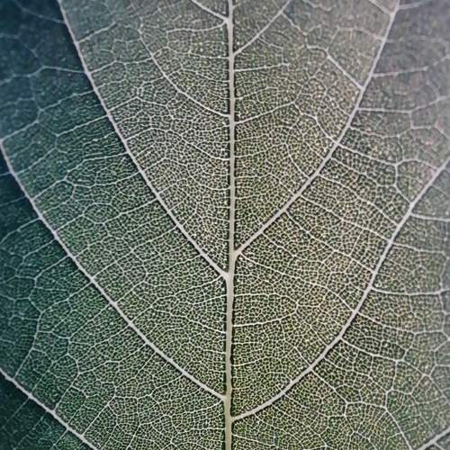 Photo #6460689