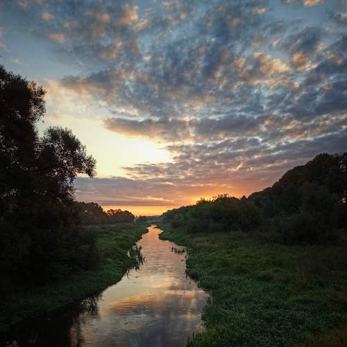 Photo #6461277