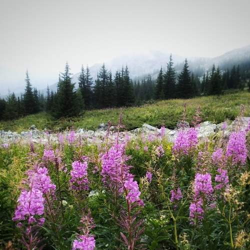 Photo #6461516
