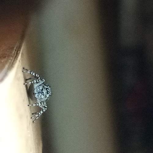 Photo #6461724