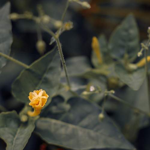 Photo #6462196
