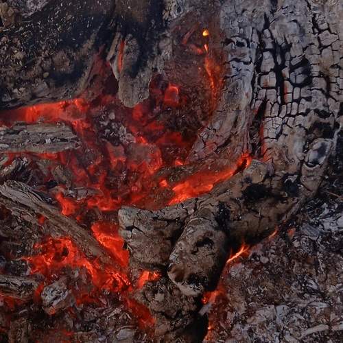 Photo #6462219