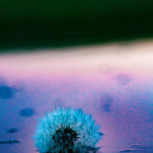 Photo #6462545