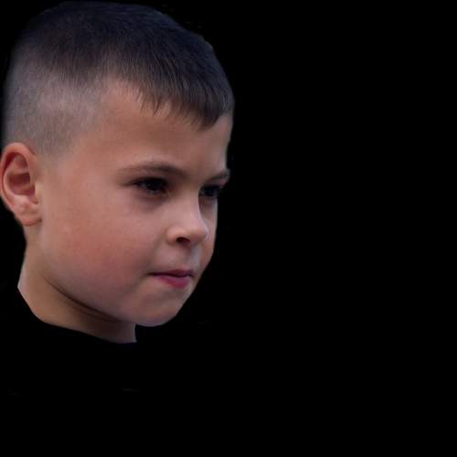 Photo #6462562