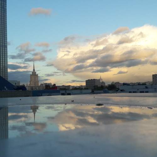 Photo #6462833