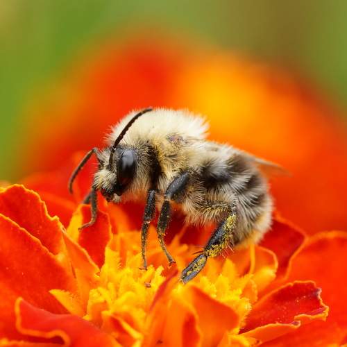 Фотография #6462893