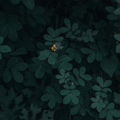 Photo #6463284