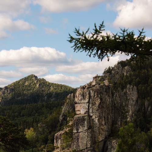 Photo #6463642