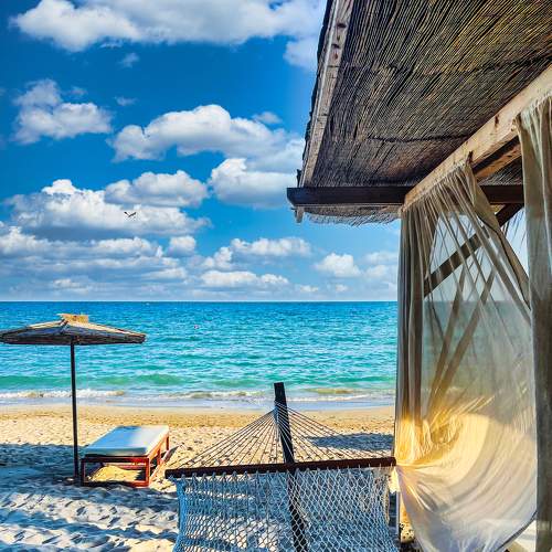 Фотография #6465300