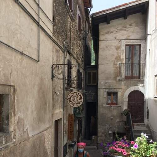 Photo #6465392