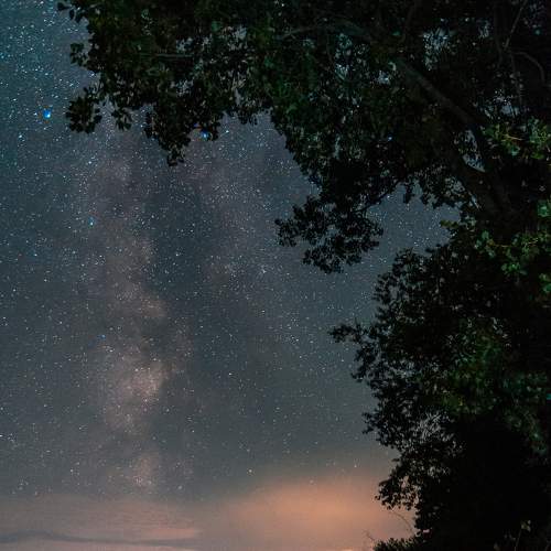 Photo #6465465