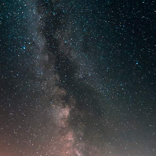 Photo #6465466