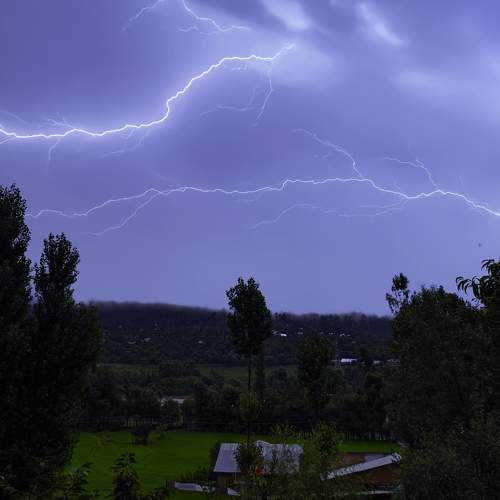 Photo #6466215