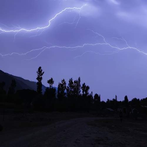 Photo #6466218