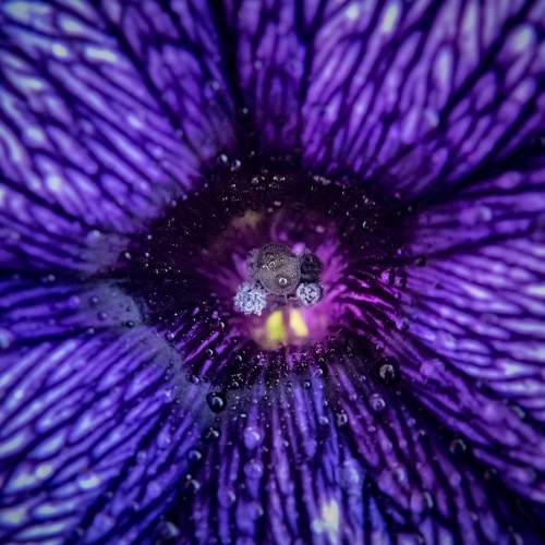 Photo #6466278