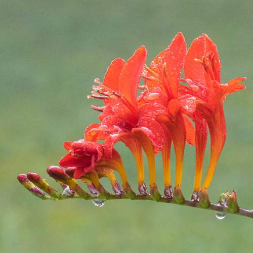 Photo #6466332