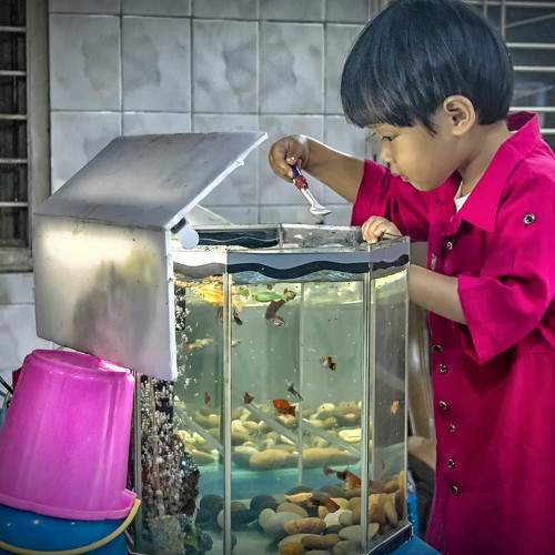 Photo #6466437