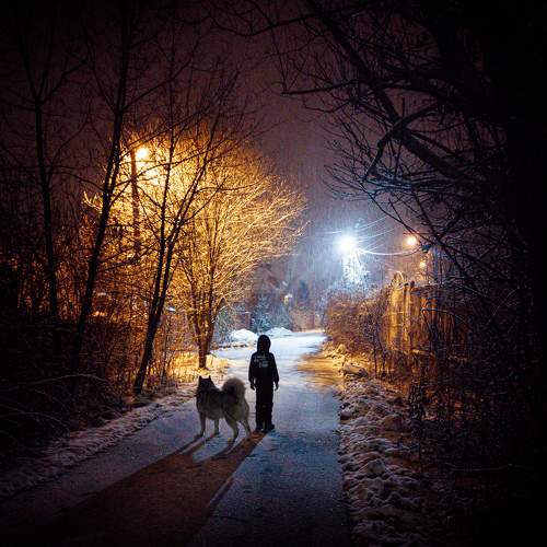 Photo #6466555