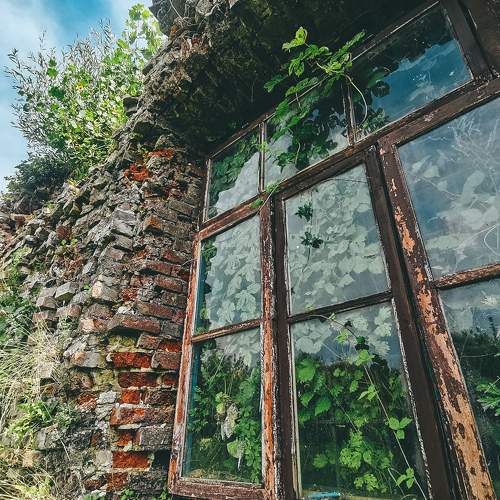 Photo #6467098